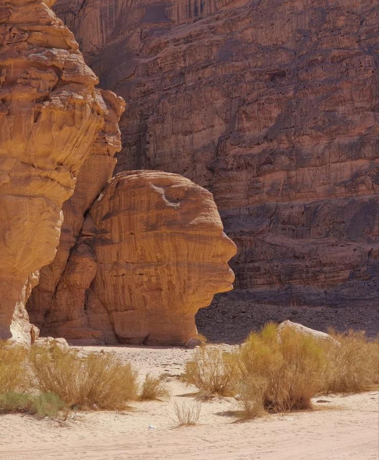 Amanda Luxury Camp Hotell Wadi Rum Eksteriør bilde
